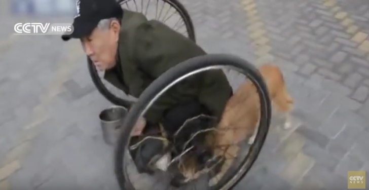 Un câine îşi plimbă stăpânul imobilizat în scaunul cu rotile. Povestea celor doi, cutremurătoare!