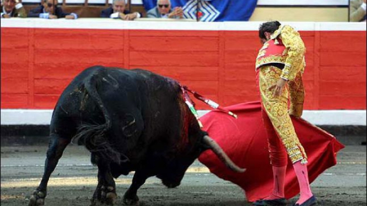 Spaniolii ar putea pierde o mare tradiţie. Pentru ce fac ibericii manifestaţie