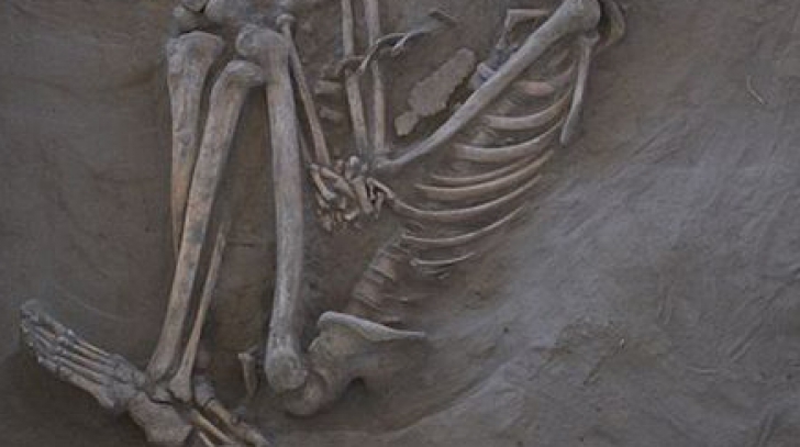 Au găsit un schelet vechi de 800 de ani. Când au privit mai bine craniul, au amuțit. Ce avea pe el