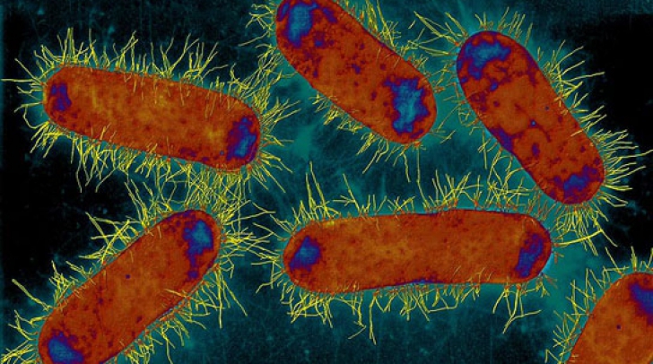 Apa potabilă infectată cu E.coli într-o comună din Argeș