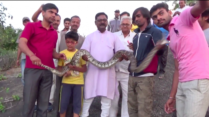 Au prins un piton uriaş şi au vrut să îşi facă un selfie cu el. Groaznic: şarpele nu era mort!
