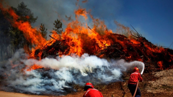 Incendiile de vegetaţie din Portugalia și Spania continuă să facă ravagii 