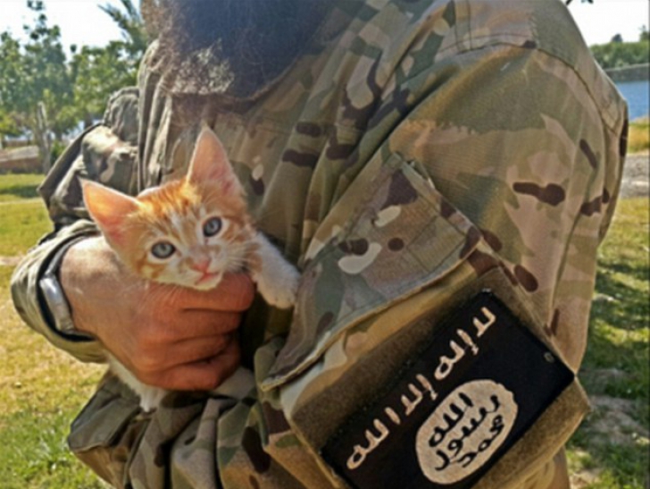 Jihadist cu pisica