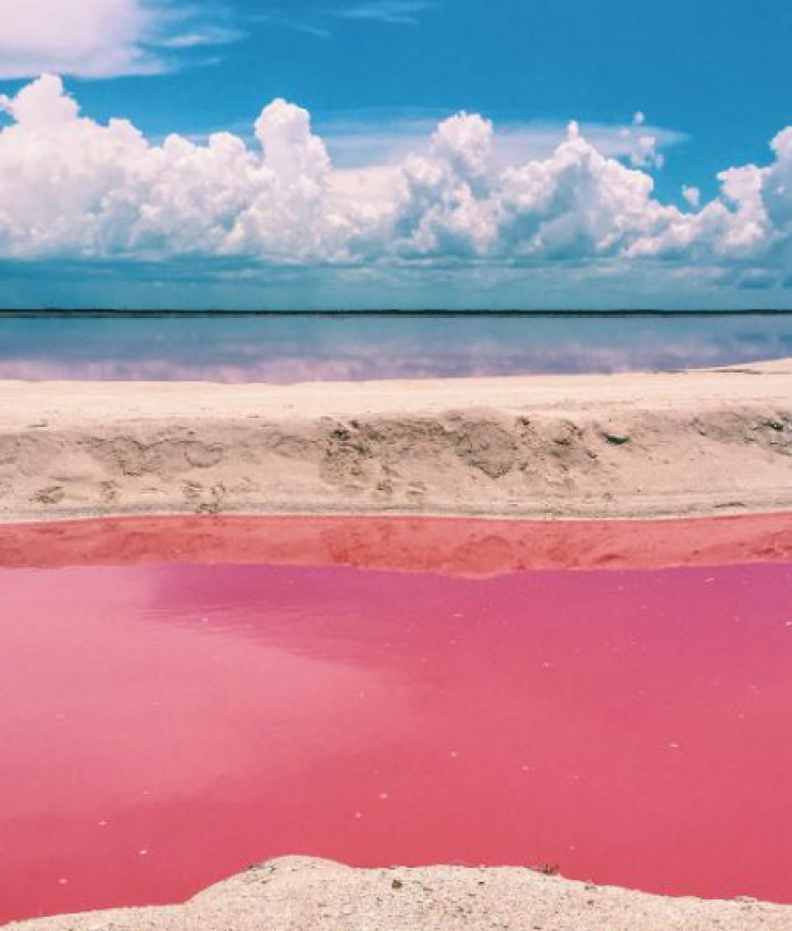 Misterul lagunei roz. Locul de pe pământ care pare ireal 
