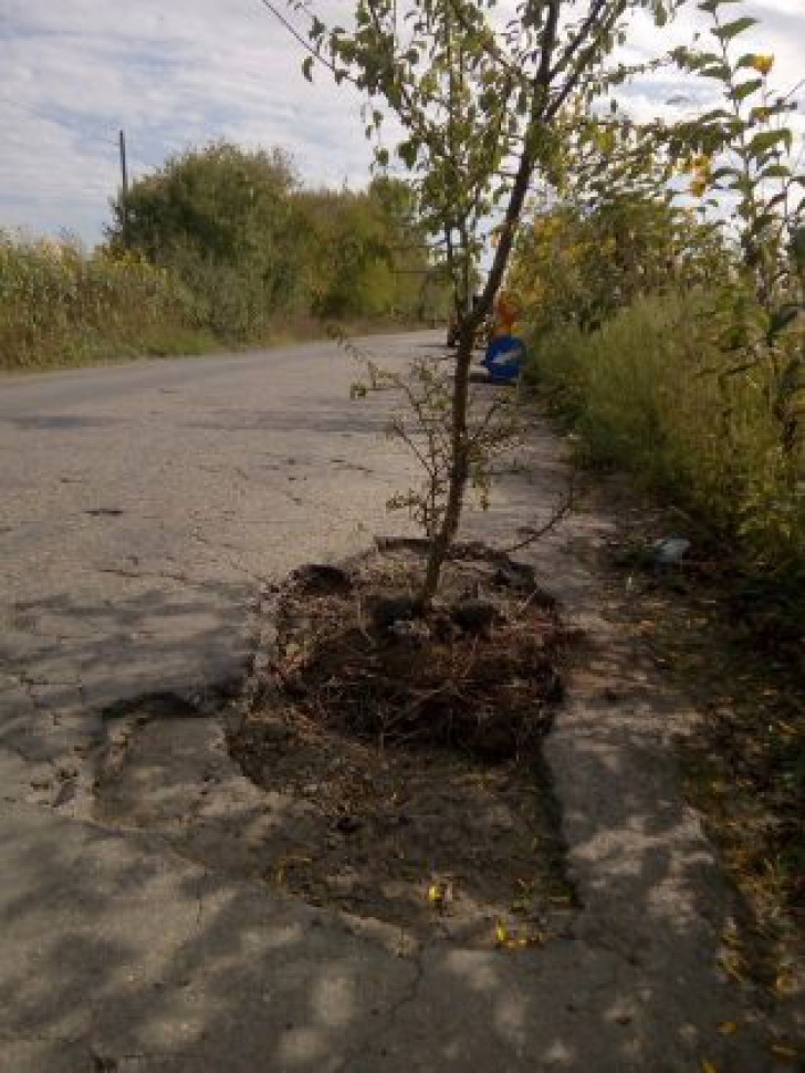 INEDIT Ce măsuri a luat un afacerist român, sătul de starea drumurilor, împotriva autorităților