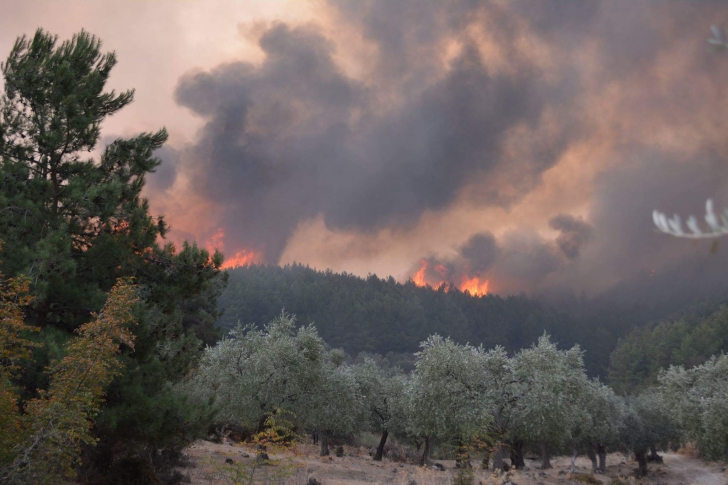 Incendii în insula Thassos. Imagini dramatice din paradisul grecesc