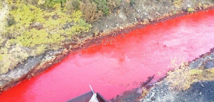 R&acirc;ul roșu din Rusia