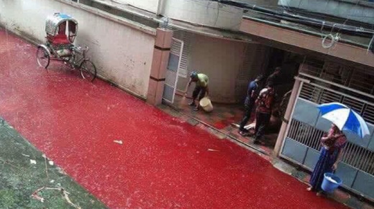 Imagini ca într-un film HORROR: străzi întregi inundate cu sânge de animale! Ce s-a întâmplat