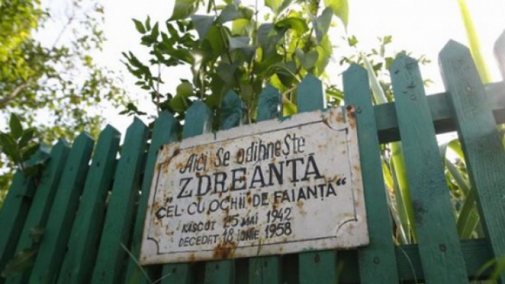 the latter chemicals pond Povestea lui Zdreanţă, "cel cu ochii de faianţă". Cum arăta câinele lui  Tudor Arghezi