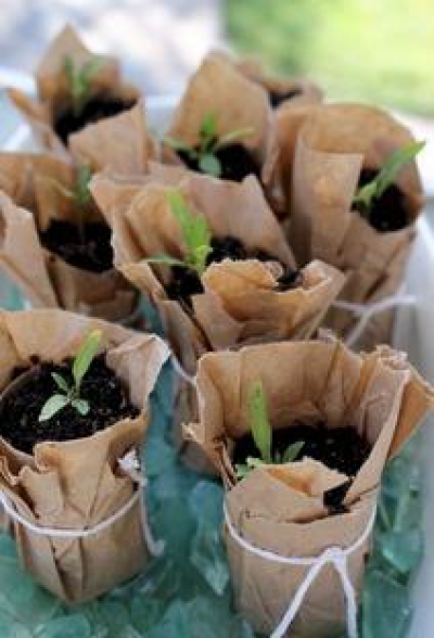 Obişnuiţi să aruncaţi cartonul de la hârtia igienică? Iată la ce poate fi folosit!