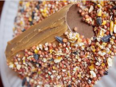 Obişnuiţi să aruncaţi cartonul de la hârtia igienică? Iată la ce poate fi folosit!