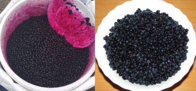 Atenţie! Otravă vândută sub formă de fructe, într-o piaţă din România