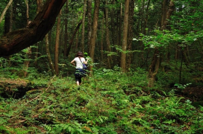 Cea mai terifiantă pădure din lume ascunde un SECRET ORIBIL! Autorităţile nu mai fac faţă! Copacii..