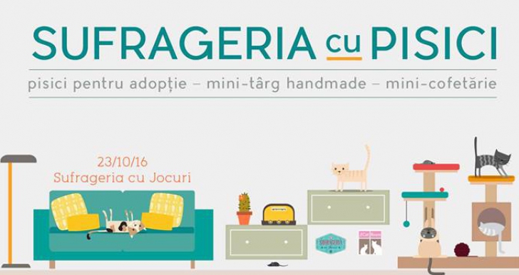 Sufrageria cu Pisici: eveniment de adopții de feline, duminică în București