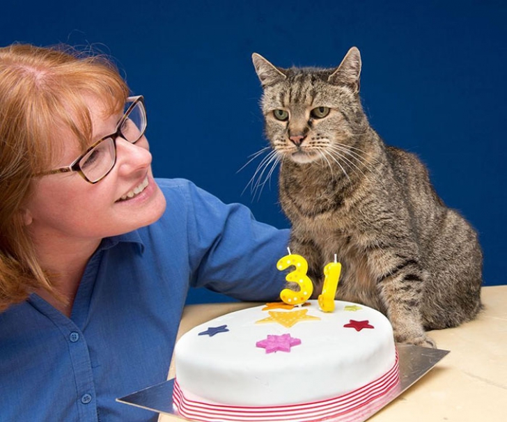 Cea mai batrână pisică din lume a împlinit 31 de ani. Iată povestea ei impresionantă! 
