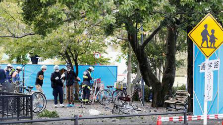 Un mort și trei răniți în explozii aproape simultane într-un parc din Japonia