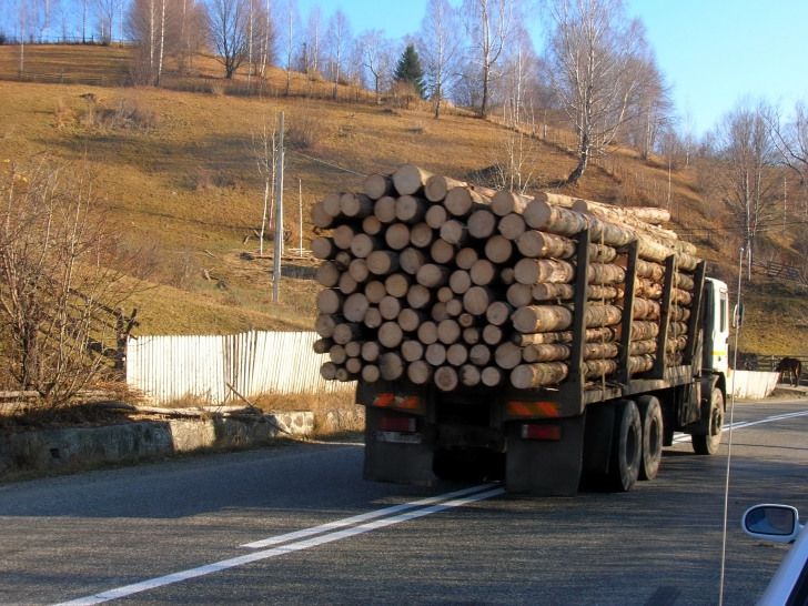 Manipulare ordinară marca Antena 3: de fapt, elvețienii ne fură lemnul