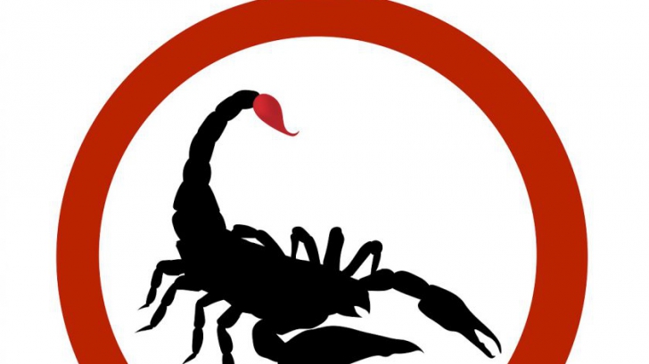 Horoscop zilnic 25 octombrie. Scorpionii privesc cu emoție spre viitor