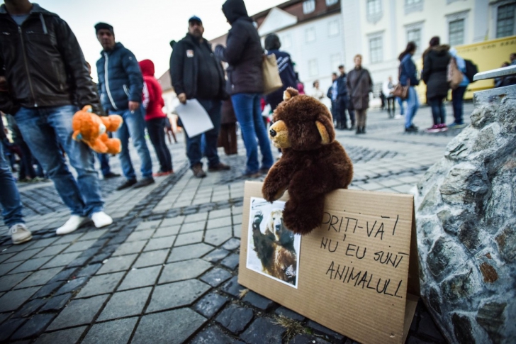 Protest după protest la Sibiu, pentru ursul ucis! Sute de oameni ies în stradă în weekend