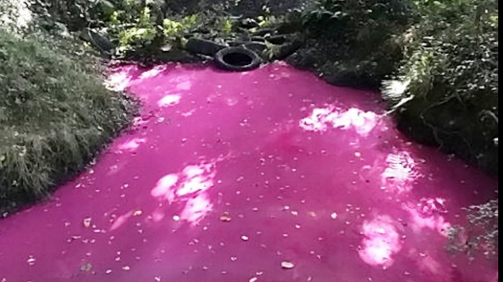 Apa unui râu s-a colorat, brusc, în roz strălucitor. Motivul? Oamenii s-au speriat când au auzit