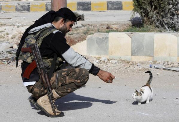 Statul Islamic a interzis pisicile. Motivul este halucinant