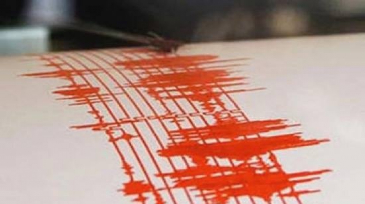 Un nou cutremur de 2,3 grade pe scara Richter în Vrancea 