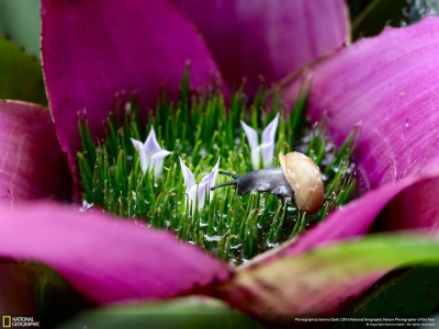 IMAGINI MAGNIFICE: Cele mai bune fotografii la concursul National Geographic Nature 