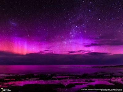 IMAGINI MAGNIFICE: Cele mai bune fotografii la concursul National Geographic Nature 