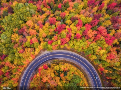 IMAGINI MAGNIFICE: Cele mai bune fotografii la concursul National Geographic Nature 