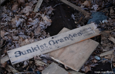 A găsit o casă părăsită, a intrat &icirc;n ea şi, c&acirc;teva secunde mai t&acirc;rziu, a regretat AMARNIC. Era...