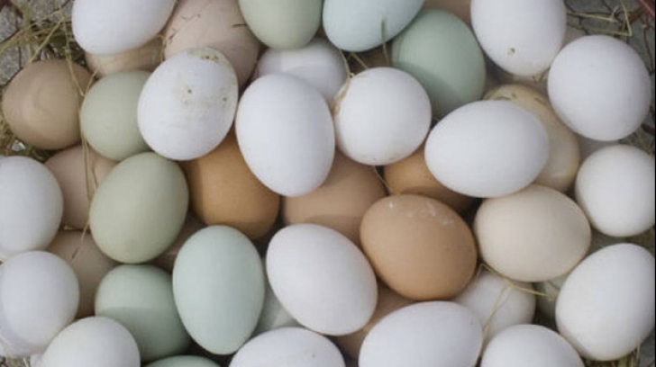 Răspunsul la întrebarea care stă pe buzele tuturor: Care sunt mai bune, ouăle maro sau cele albe? 