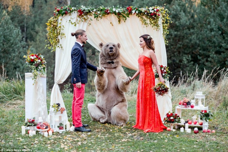 Nimeni nu s-a mai uitat la mire şi la mireasă! Un urs brun le-a "binecuvântat" nunta