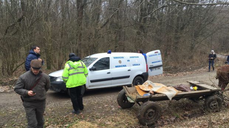 Tragedie fără margini în Botoşani. Un copil de 15 ani a murit strivit de un copac