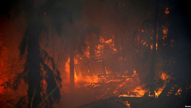 13 persoane suspecte că ar fi declanșat incendiile din centrul și nordul ţării, arestate în Israel 