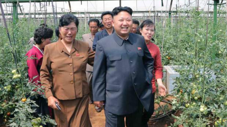 Foamete în Coreea de Nord