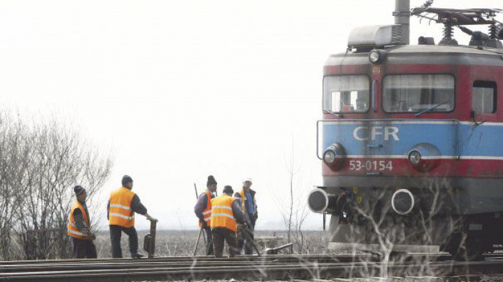 Traficul feroviar, blocat între Drobeta Turnu-Severin şi Craiova. Un arbore a rupt firul de contact