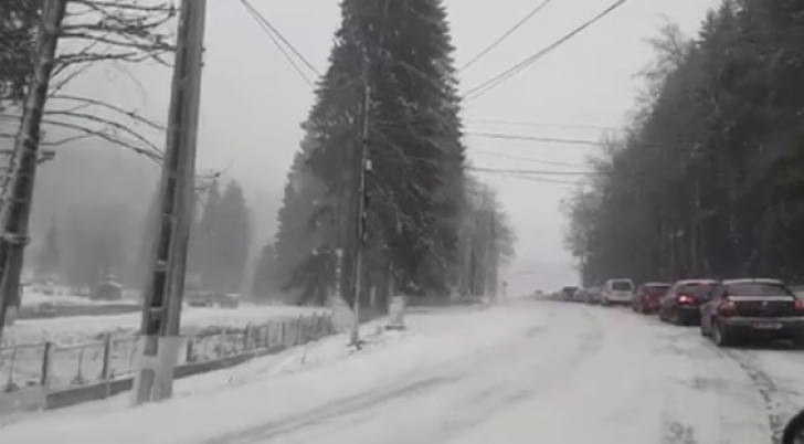 Trafic de coşmar pe Valea Prahovei, din cauza zăpezii. Zeci de maşini blocate, copaci căzuţi