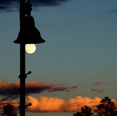 Cele mai spectaculoase fotografii făcute la momentul potrivit