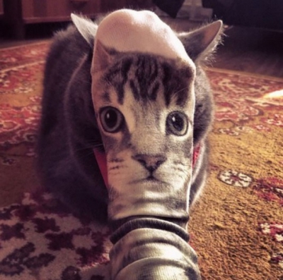 Cele mai spectaculoase fotografii făcute la momentul potrivit