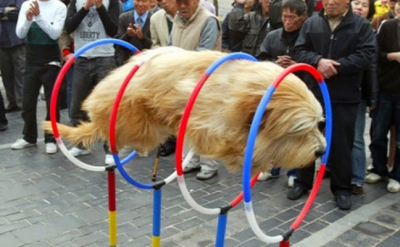 Cele mai spectaculoase fotografii făcute la momentul potrivit