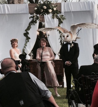 Cele mai spectaculoase fotografii făcute la momentul potrivit