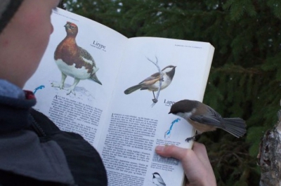 Cele mai spectaculoase fotografii făcute la momentul potrivit