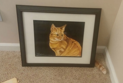 Cele mai spectaculoase fotografii făcute la momentul potrivit