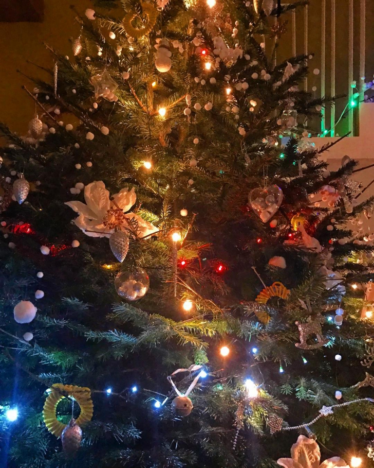 Adela Popescu și Radu Vâlcan au decorat primul brad "în trei". Cum arată Pomul de Crăciun