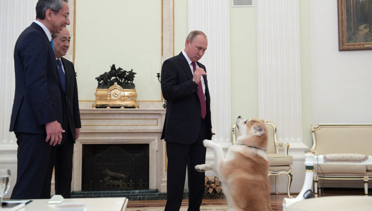 Câinele lui Putin a speriat doi jurnaliști japonezi! Aceștia îi luau un interviu președintelui rus