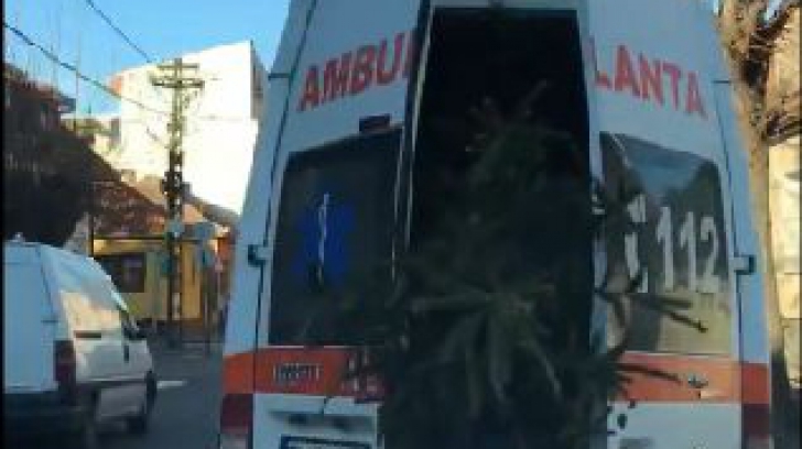 Imagini INCREDIBILE în Satu Mare. O ambulanţă a fost filmată în timp ce transporta un brad