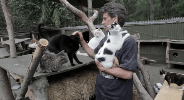 Un american şi-a transformat casa în adăpost pentru 300 de pisici