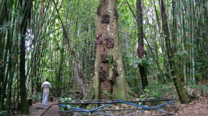 Localnicii din acest sat au un ritual bizar. Micuții nu ajung niciodată într-un mormânt de pământ