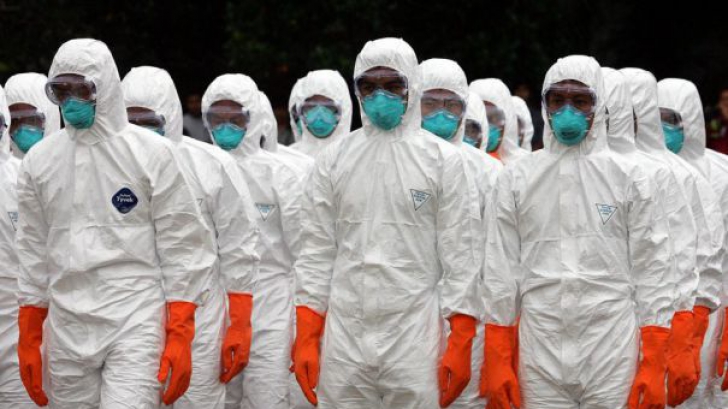 Gripa aviară a fost confirmată în România! Virusul, găsit într-un cadavru de cormoran, la Constanţa