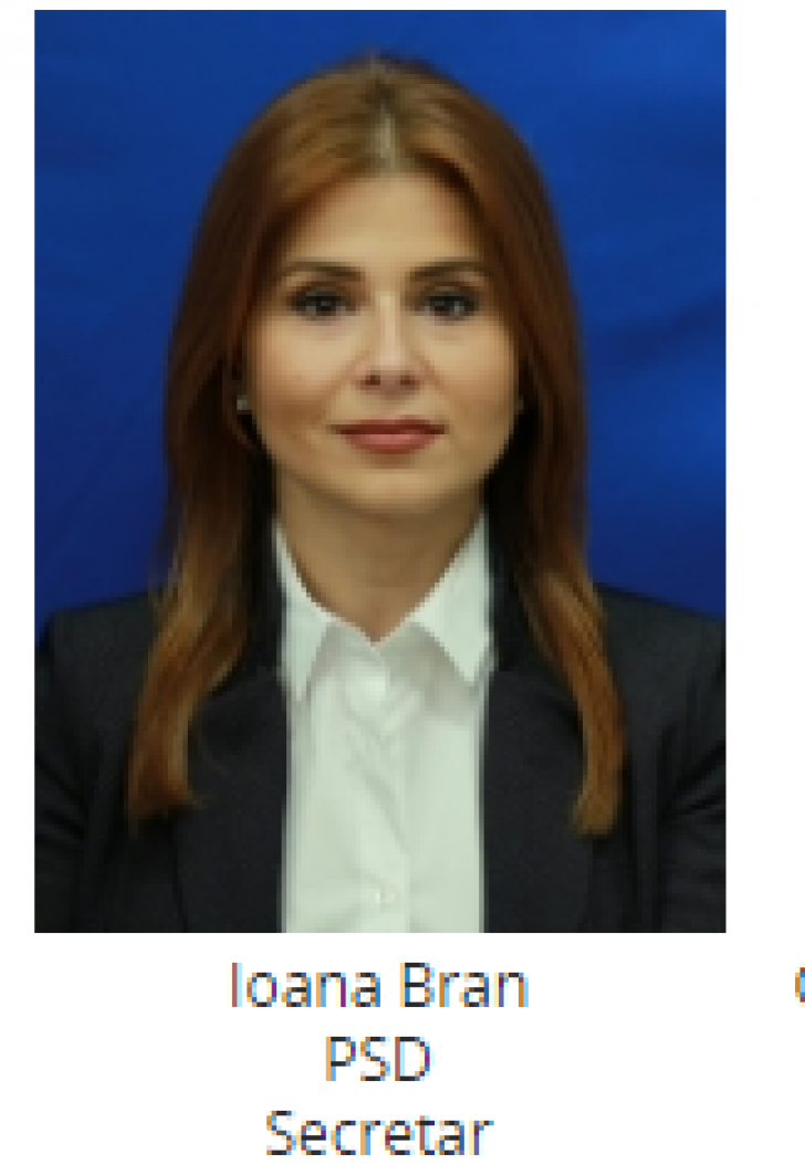 Cine este sexy milionara pe care Dragnea a băgat-o direct în conducerea Camerei Deputaţilor